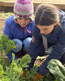 Students gardening